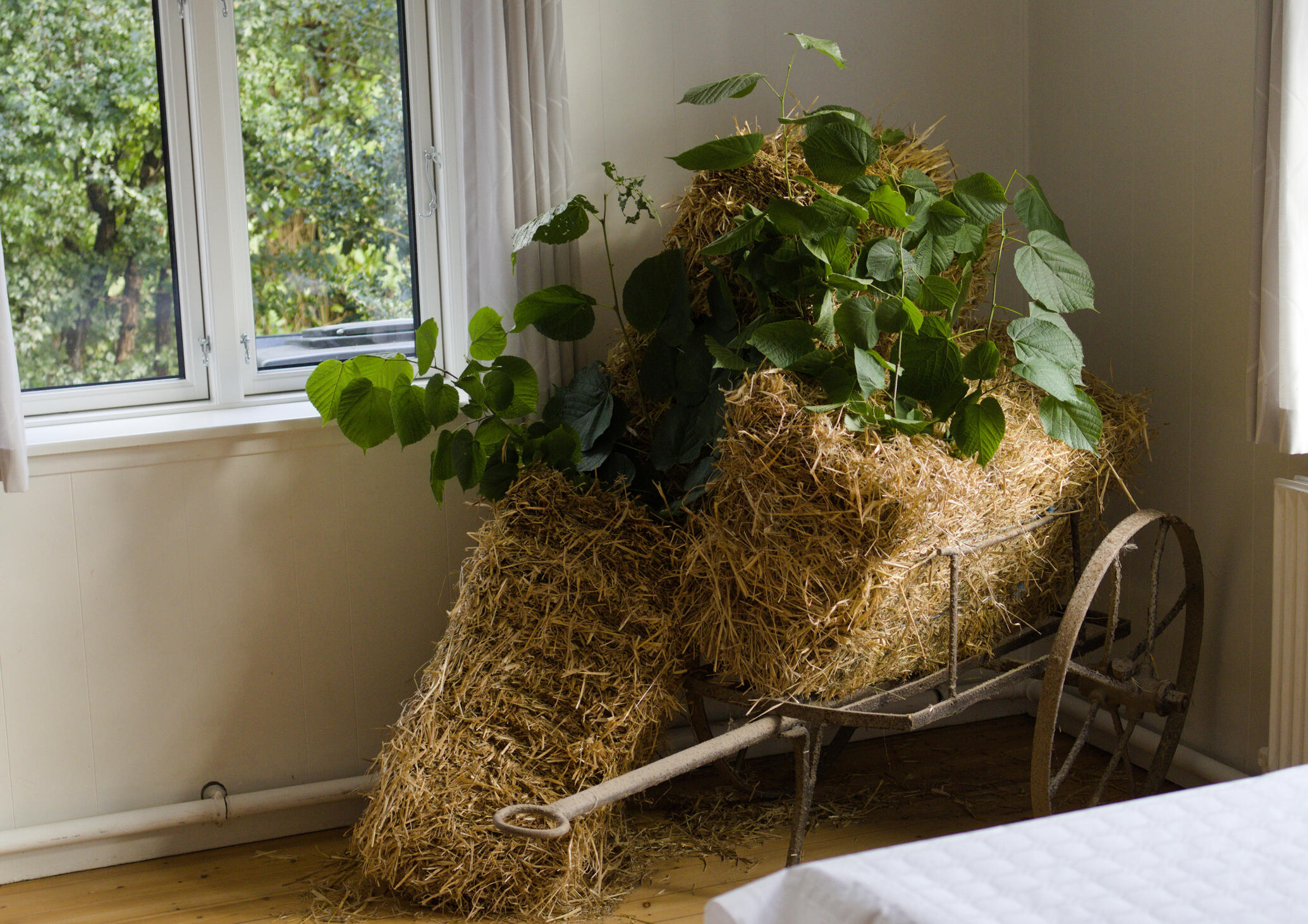 Høstfest 2025 Høstfest 2025